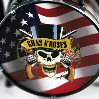 Ударная установка Flag | Guns'N'Roses