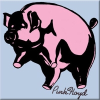 Магнит Pink Floyd - Pig