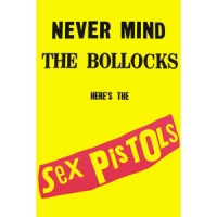 Магнит Sex Pistols - Never Mind