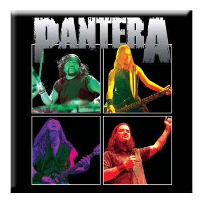 Магнит Pantera - Band Photo ― iMerch