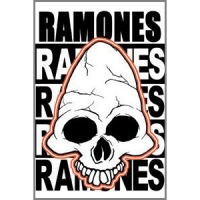 Магнит Ramones - Skull ― iMerch