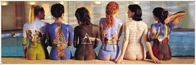 Рулонный плакат Pink Floyd - Back Catalog [53х158 см.] ― iMerch